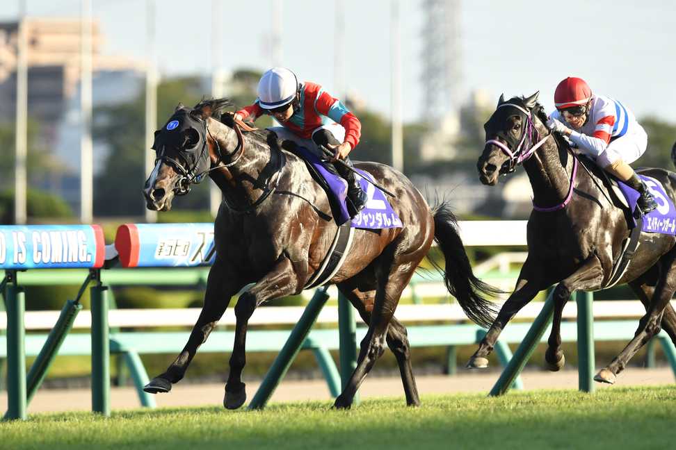 【香港スプリント】日本馬は史上最多の４頭が参戦！昨年覇者も出走するレースの注目点