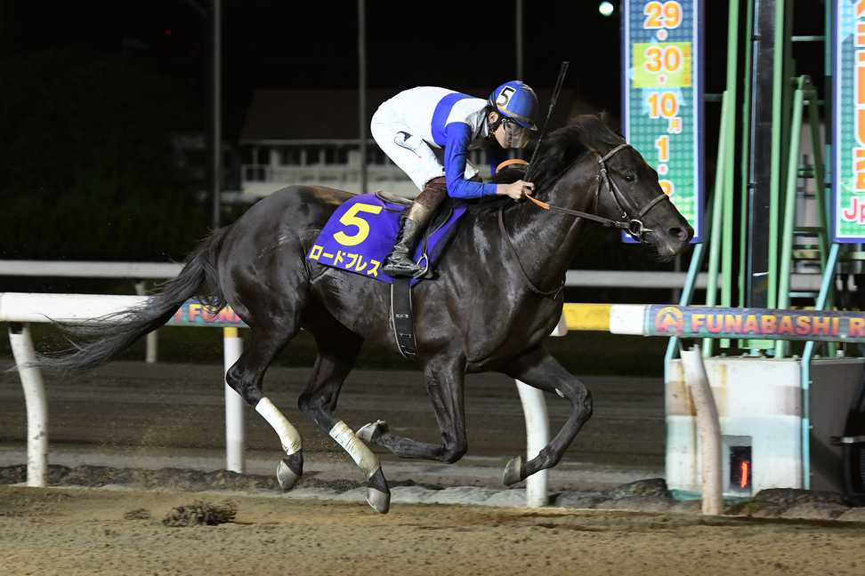 ロードブレスが地方競馬に移籍　２０年日本テレビ盃の勝ち馬
