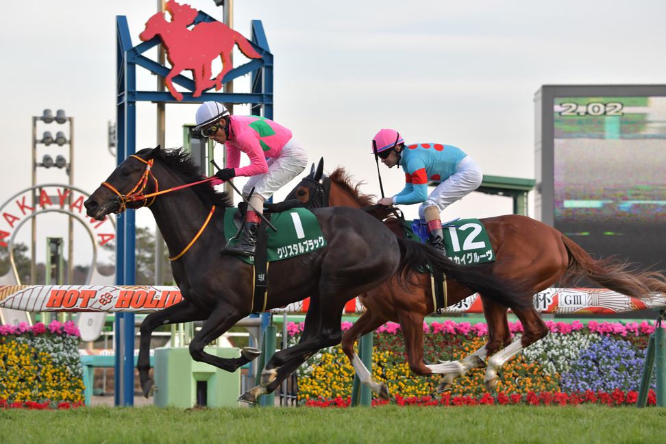 コントレイル世代の京成杯勝ち馬クリスタルブラックが産経賞オールカマーで２年５カ月ぶり復帰