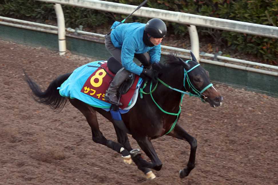 【阪神ＪＦ】サフィラは態勢万全の馬なり１２秒３　サリオスと２歳ＧＩ兄妹制覇へ