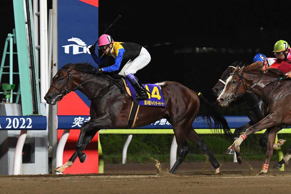 【３歳以上次走報】ＪＤＤ馬ノットゥルノは日本テレビ盃で年長馬に挑む