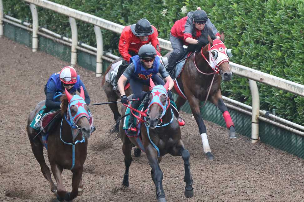 【今日の注目新馬】阪神５Ｒ　サトノフェニックスは発馬が速く前進気勢も旺盛