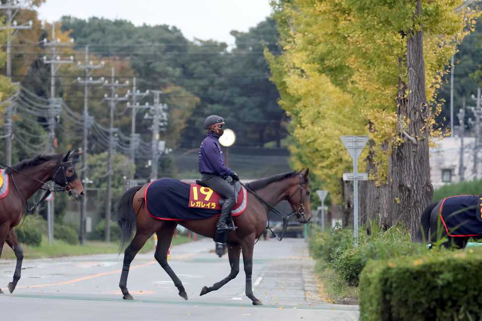 【エリザベス女王杯2024特集】レガレイラ「前走は休み明けで15番。中京もあまり合わなかった」 スタニングローズ「調教の本数は重ねることができた」