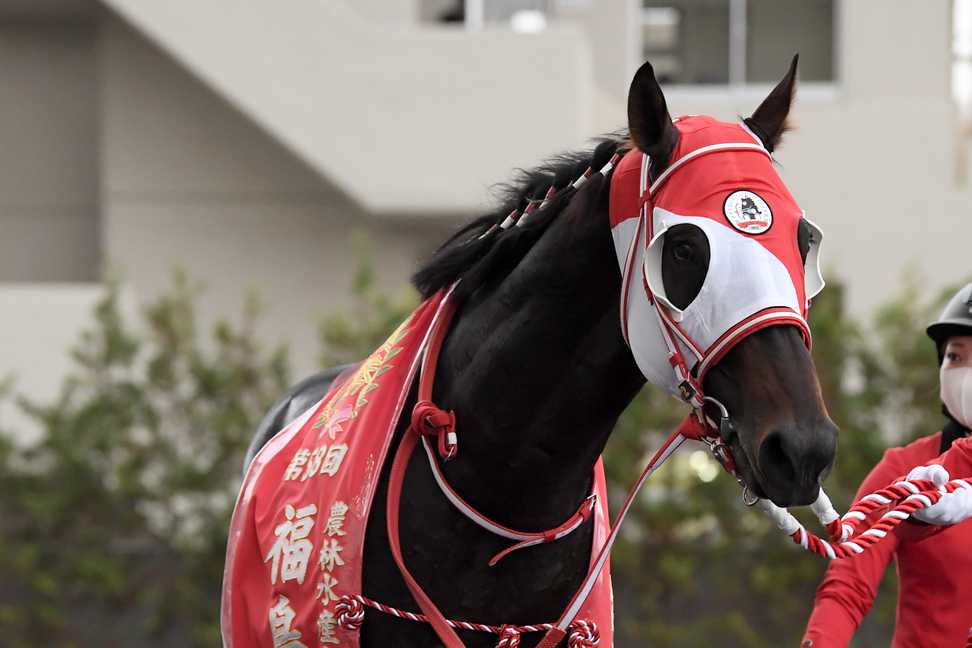 【クイーンエリザベスＳの注目点】地元のトップジョッキーとのコンビで参戦　日本馬５頭目の挑戦で豪ＧⅠ制覇なるか