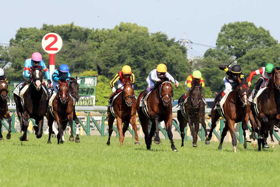 【日本ダービーの注目点】第９０回の節目を迎える競馬の祭典！　どのような結末が待っているか