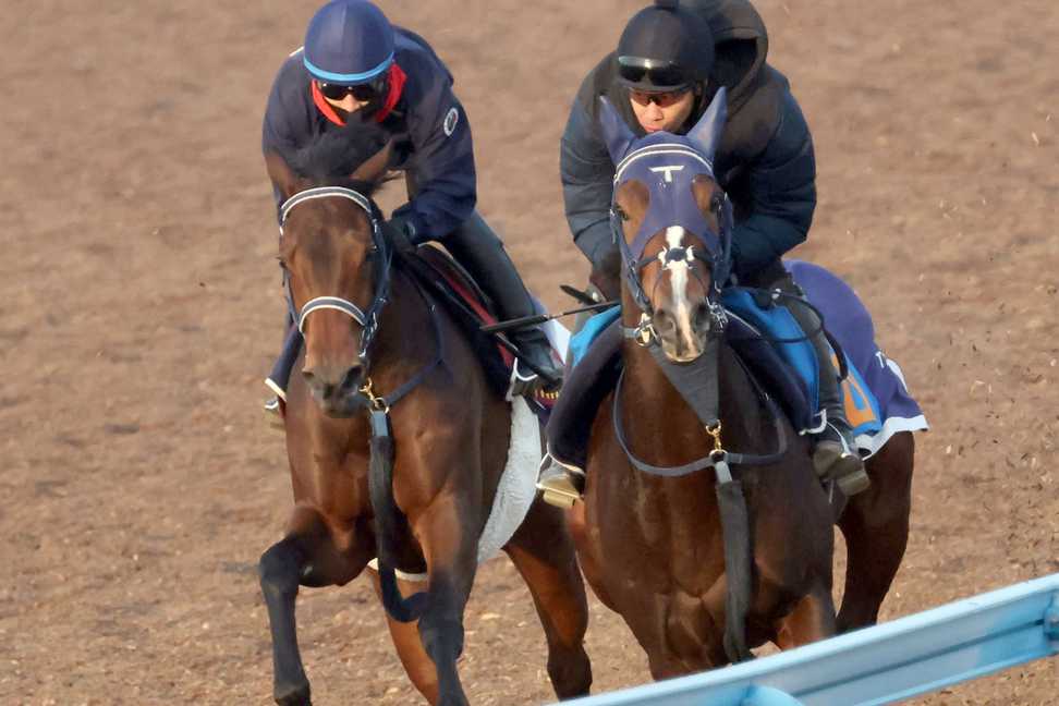 【阪神JF】ブラウンラチェットすでに古馬の風格　操縦性高く全身使った走りに手塚師「動き言うことない」