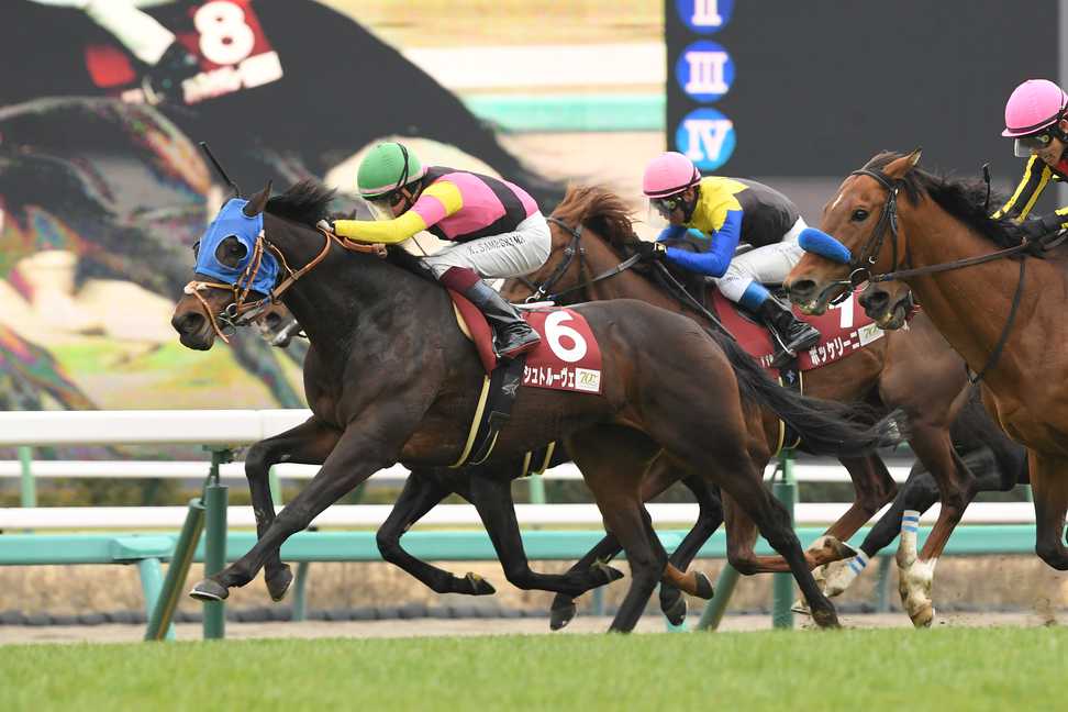 【日経賞】シュトルーヴェ、昇級戦でいきなりＧⅡゲット　鮫島克駿騎手「この馬の力強さに感動」