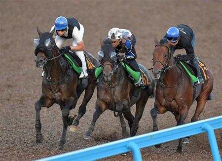 【セントライト】藤沢和厩舎３騎が揃って１２秒５