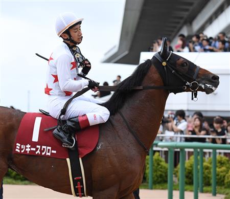 【オールカマー】ミッキースワロー猛追届かず２着　菊沢一「この馬の形で競馬をした」