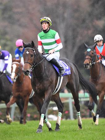 【有馬記念】皐月賞馬サートゥルナーリアが５馬身差の２着　スミヨン「勝ち馬が強すぎる」