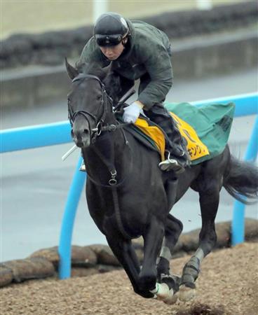【中山記念】馬体強化ダノンキングリー１２秒６