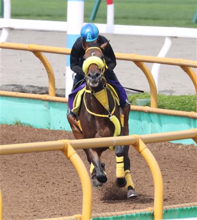 【函館記念】ニシノデイジー、馬なりで力強い走り