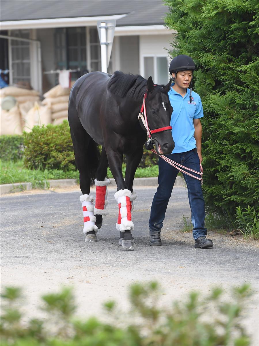 【神戸新聞杯】２冠馬コントレイルは引き運動で調整