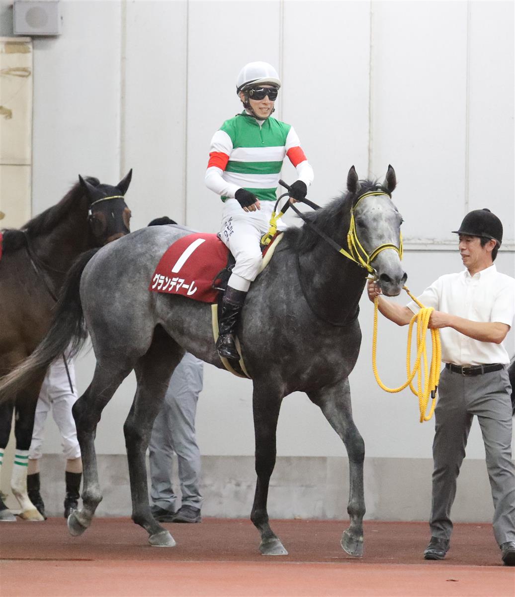 【神戸新聞杯】骨折休養明けのグランデマーレは１７着　藤岡佑「大きいところへ挑戦できる馬」