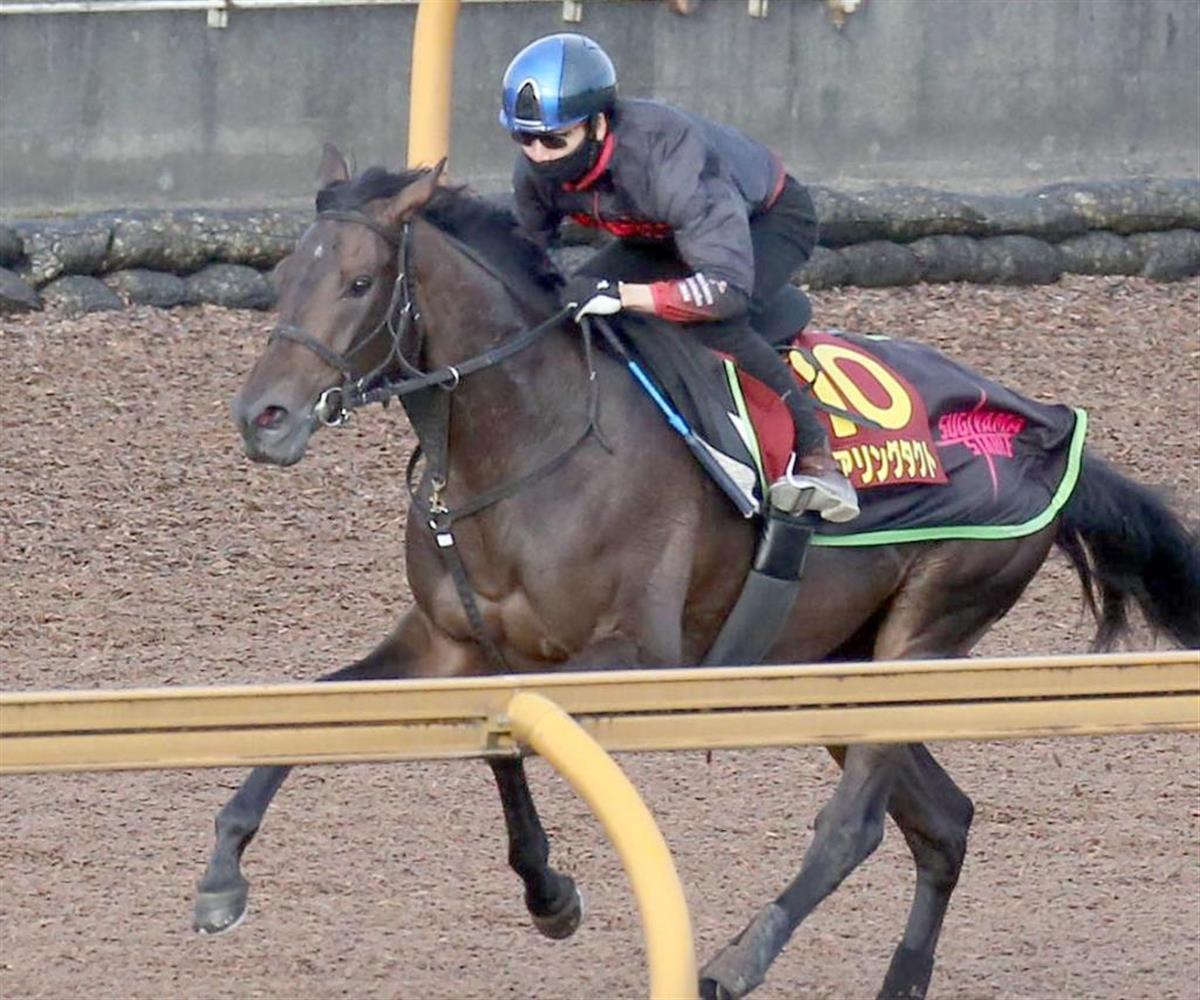 【秋華賞】デアリングタクト無敗の牝馬３冠へ１２秒１