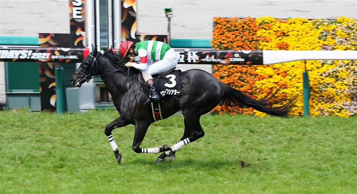 【東京ジャンプ】超良血馬も出走する障害重賞と今週末の注目点はこちら！