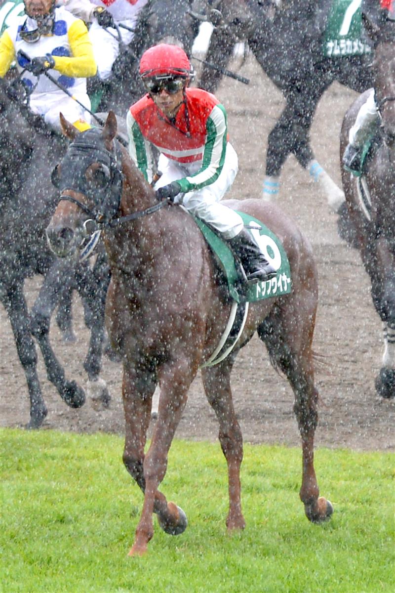 【プロキオンＳ】１４番人気のトップウイナーが２着に激走　和田竜「自分の競馬ができれば力はある馬」