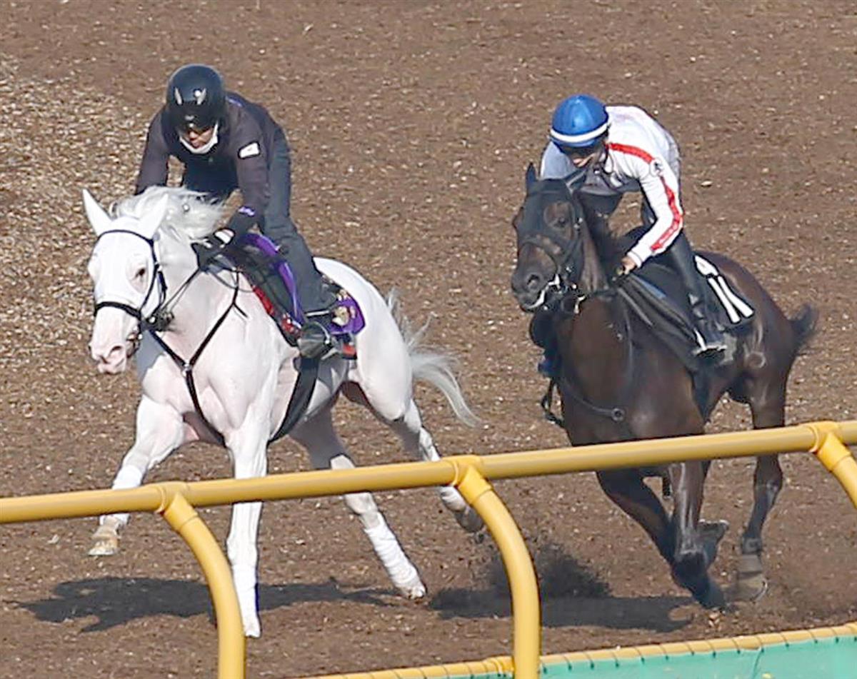 【札幌記念】白毛馬ソダシが馬なりで併入