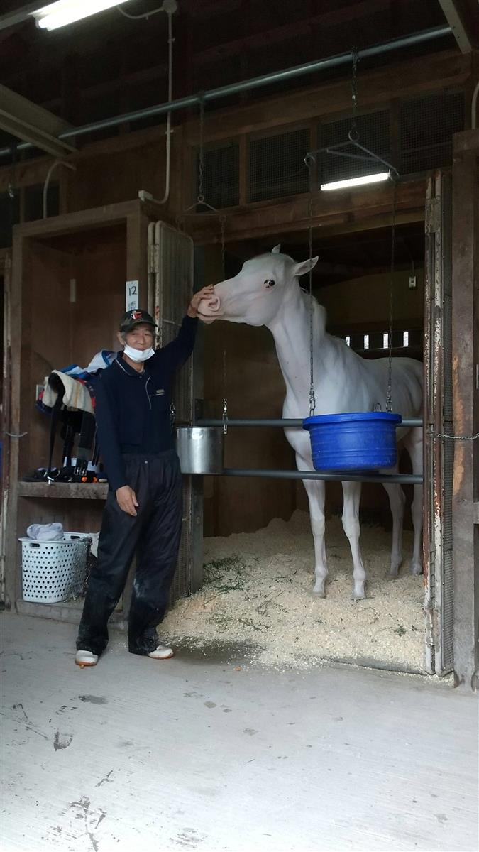 【札幌記念】ソダシは馬房でリラックス　今浪厩務員「カイバ桶を振り回してるよ」