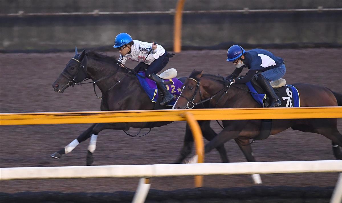 【神戸新聞杯】日本ダービー馬シャフリヤールが１週前追いで先着