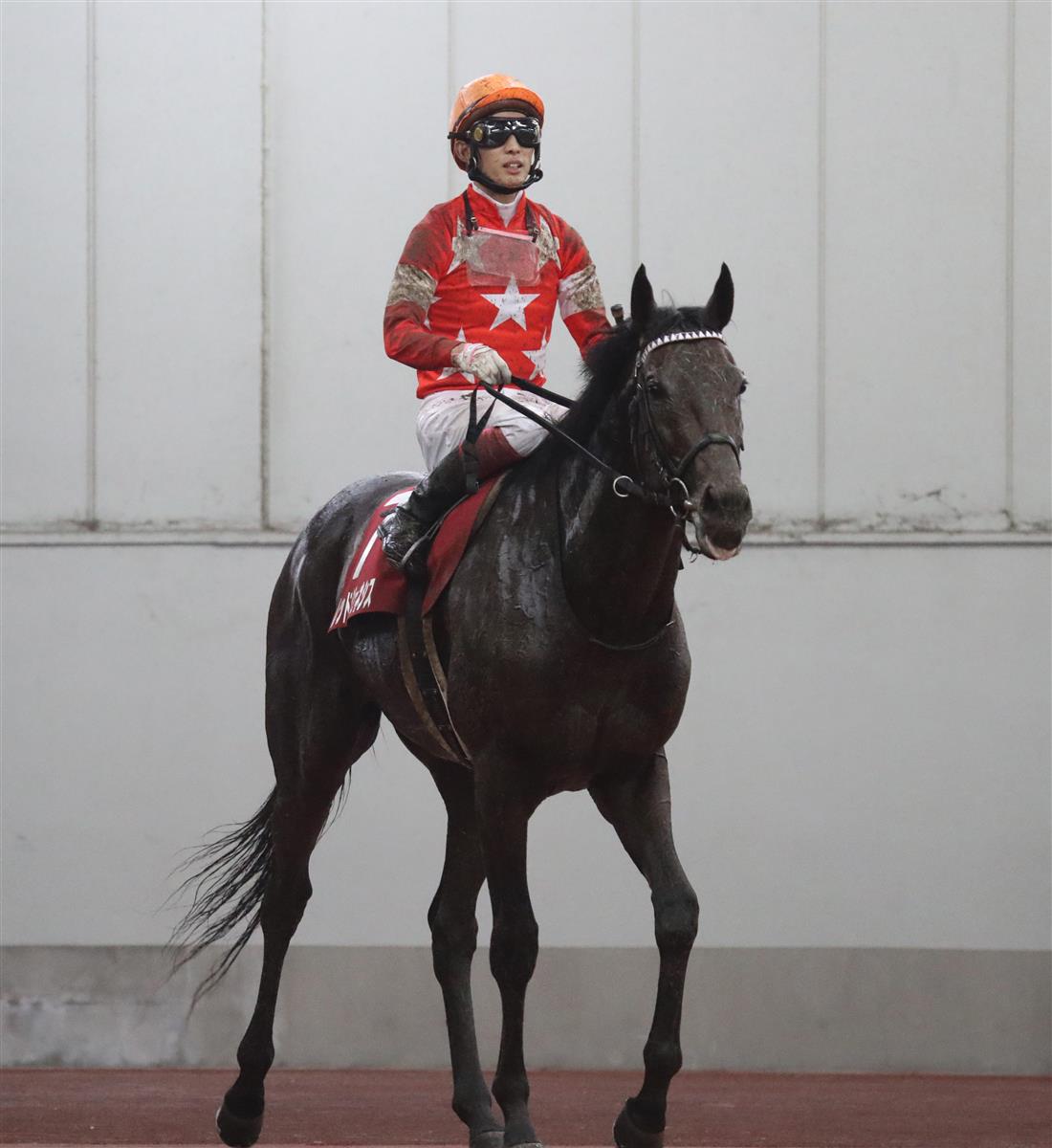 【神戸新聞杯】レッドジェネシスが半馬身差の２着