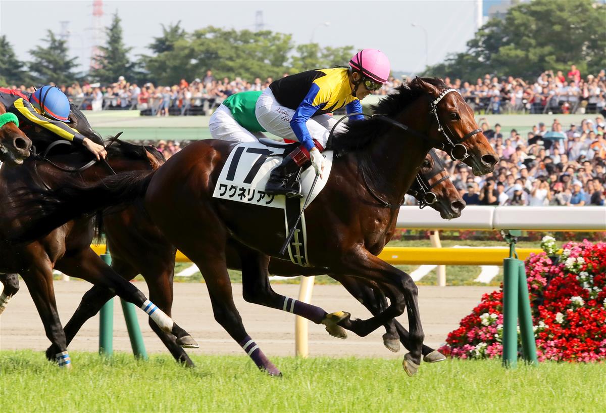 ２０１８年日本ダービー馬ワグネリアンはジャパンｃへ 競馬ニュース 競馬予想のウマニティ