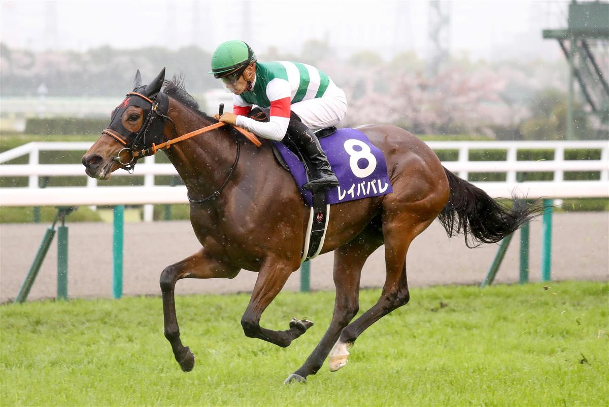 レイパパレなど日本馬６頭が香港国際競走に選出