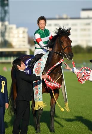 １着賞金１０００万ドル、サウジカップに日本馬８頭登録