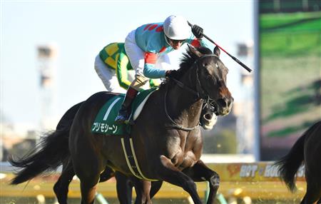豪州『ザ・チャンピオンシップス』に日本馬が予備登録
