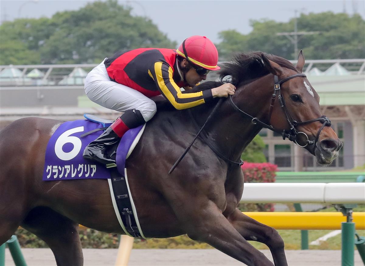 世界ランク発表！日本馬はグランアレグリアが最上位