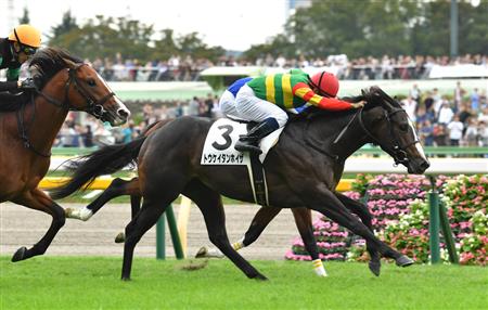【２歳新馬】東京５Ｒ　６番人気トウケイタンホイザが追い込んで快勝