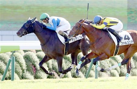 【２歳新馬】京都７Ｒ　アンサンブルが先行競り勝つ