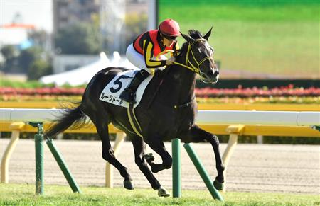 【２歳新馬】東京５Ｒ　フィエールマンの妹ルーツドールが完勝