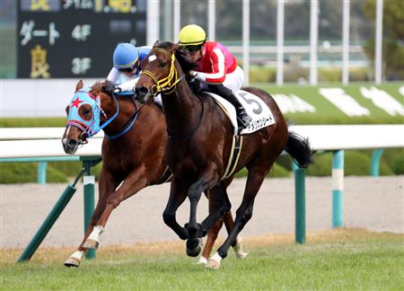 【２歳新馬】阪神５Ｒ　米国産馬アメリカンシードが２番手から快勝！