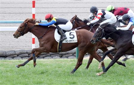 【３歳新馬】京都６Ｒ　ルビーカサブランカが競り勝つ