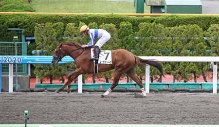 【函館６Ｒ・新馬】１番人気ルーチェドーロがレコードで７馬身差Ｖ！