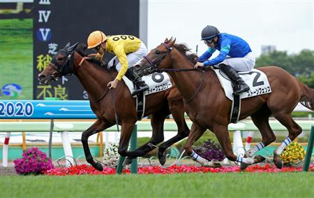 【函館５Ｒ・新馬】２番人気ディープエコロジーが一気の逃げ切り勝ち