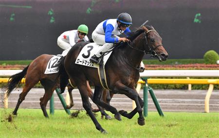 【２歳新馬】東京５Ｒ　ロードマックス不良馬場を攻略