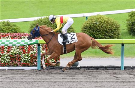 【福島６Ｒ・新馬】１２番人気キモンブラウンがスピード生かして快勝
