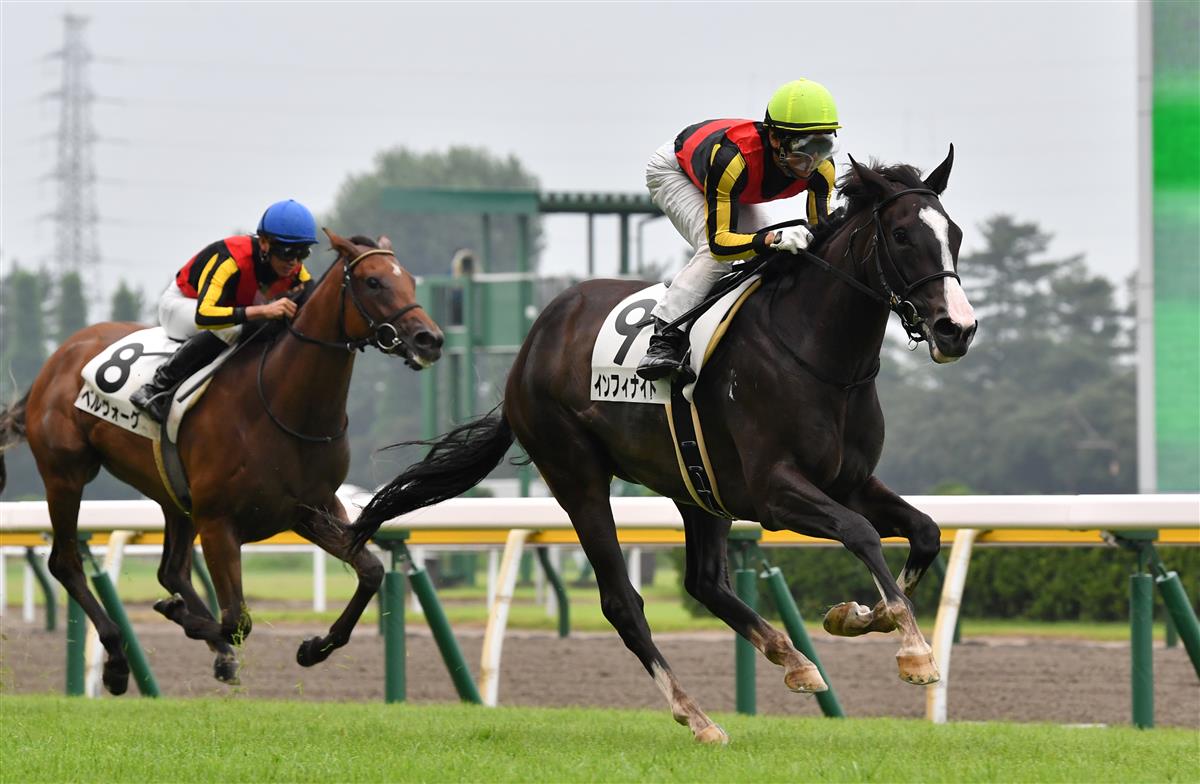 【新潟６Ｒ・新馬】モーリス産駒インフィナイトが２番手から完勝
