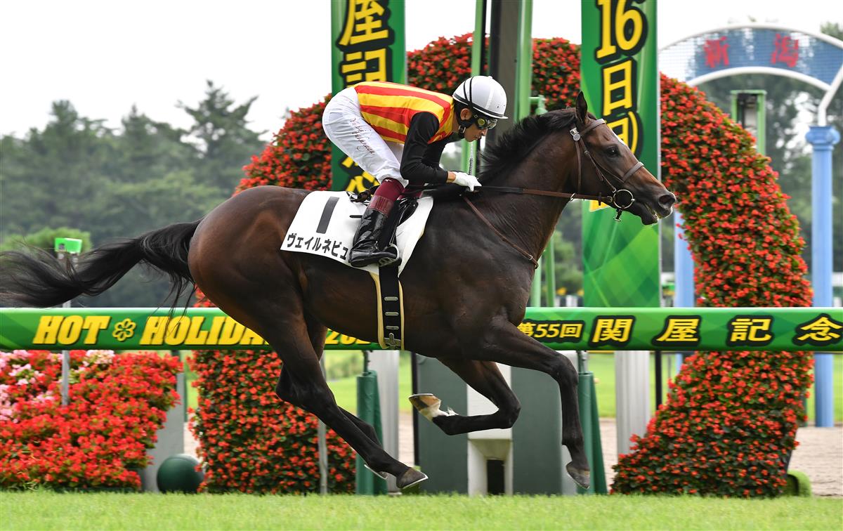 【新潟５Ｒ・新馬】１番人気ヴェイルネビュラが中団から差し切り勝ち