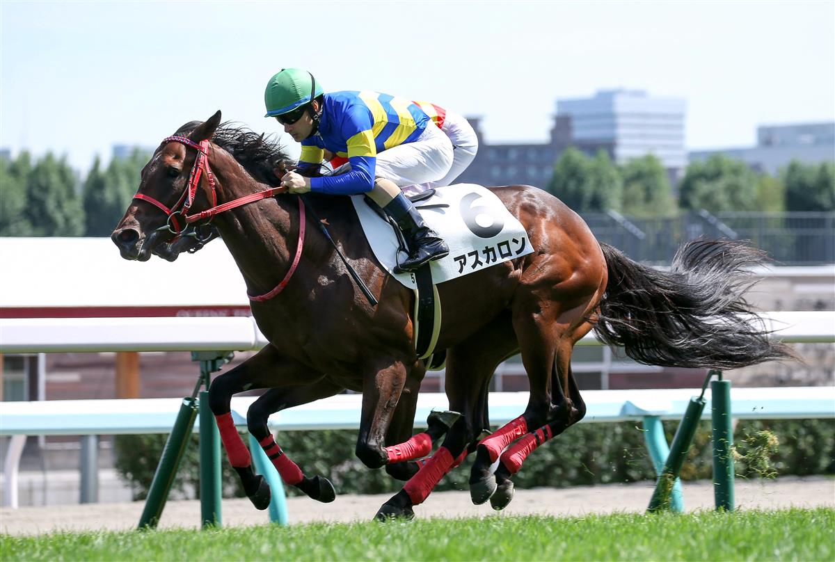 【札幌５Ｒ・新馬】１番人気の米国産馬アスカロンが好位抜け出しでＶ