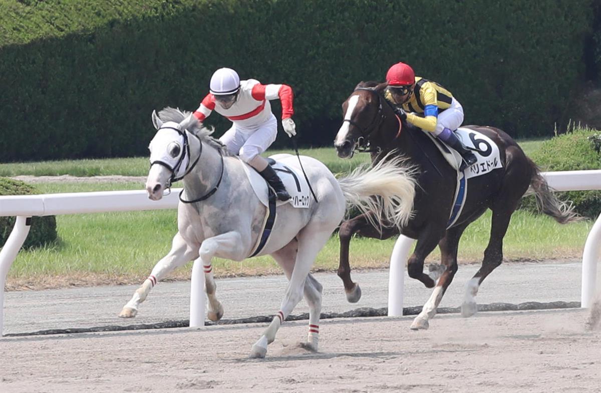 【小倉６Ｒ・新馬】４番人気ダノンハーロックが２番手から５馬身差Ｖ