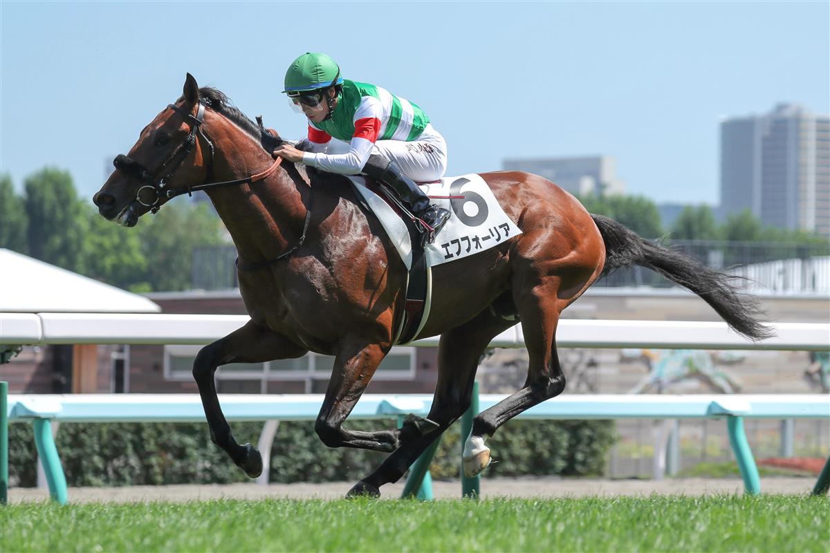 【２歳新馬】札幌５Ｒ　１番人気エフフォーリアが勝利