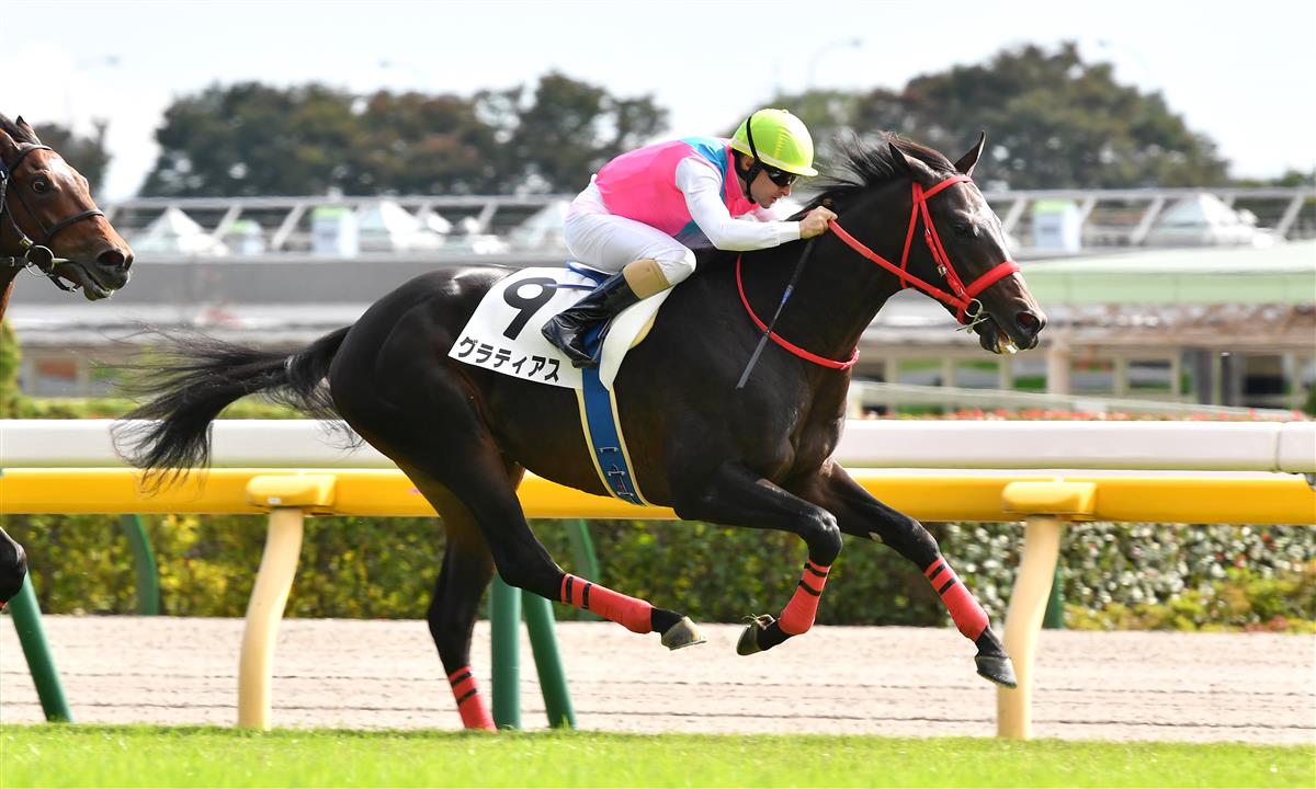 【東京５Ｒ・新馬】ＧＩ馬の半弟グラティアスが１番人気に応え快勝