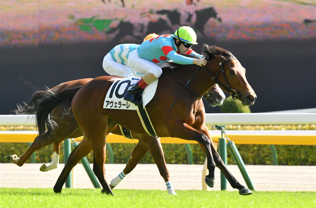 【東京５Ｒ・新馬】ドゥラメンテ産駒アヴェラーレが人気に応え快勝