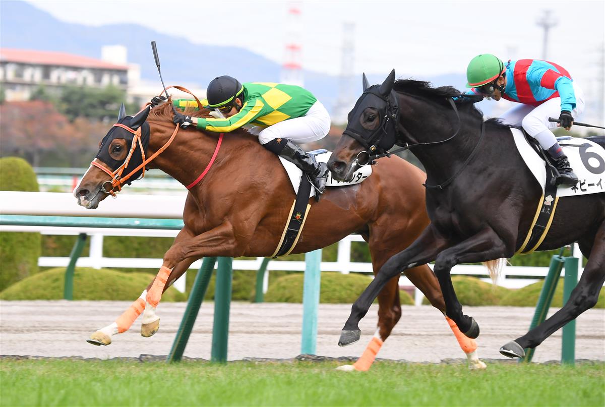 【２歳新馬】阪神５Ｒ　サトノハンターが競り勝つ