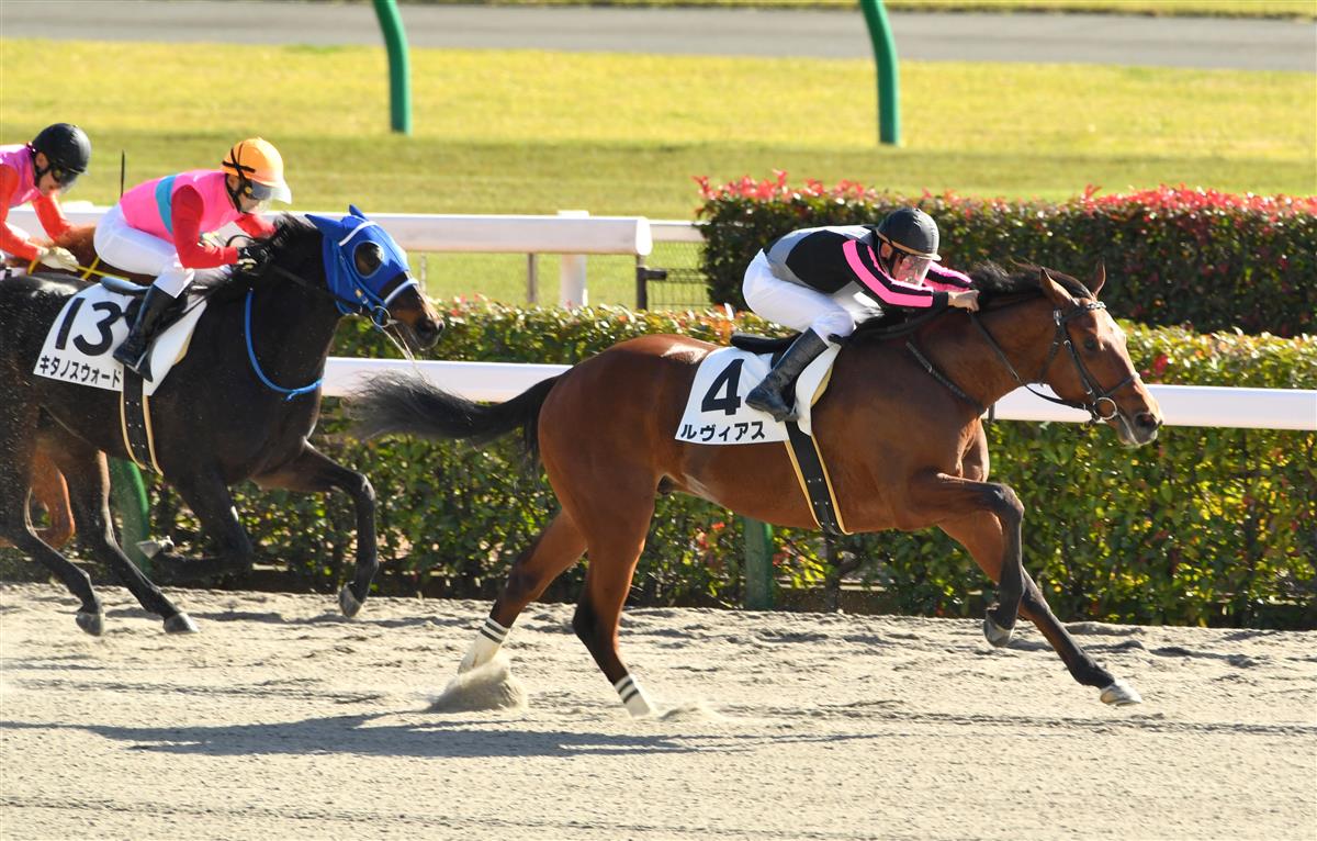 【２歳新馬】東京６Ｒ　１番人気のルヴィアスが完勝