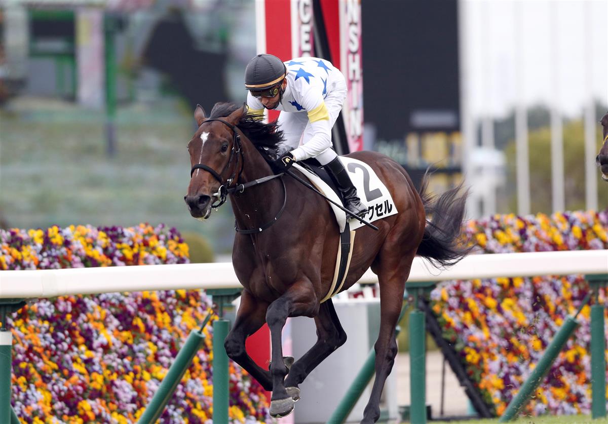 【阪神５Ｒ・新馬】７番人気アクセルがマイペースの逃げ切り勝ち