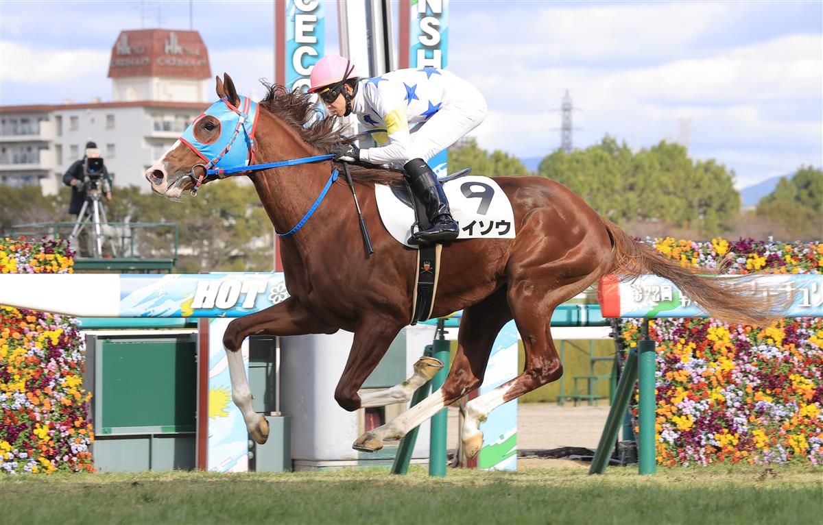 【阪神５Ｒ・新馬】１番人気タイソウが２番手から抜け出して快勝